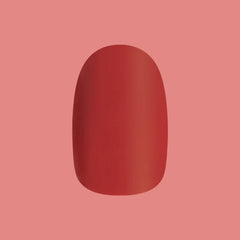 Roar - Tab Press-On | Extra Short | Round